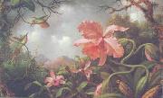 Martin Johnson Heade Hummingbirds and Two Varieties of Orchids France oil painting artist